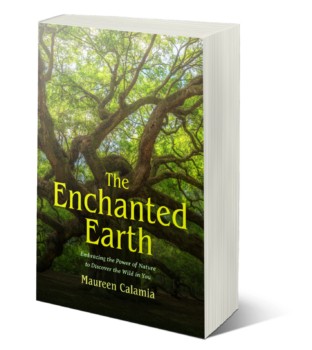 The Enchanted Earth by Maureen Calamia