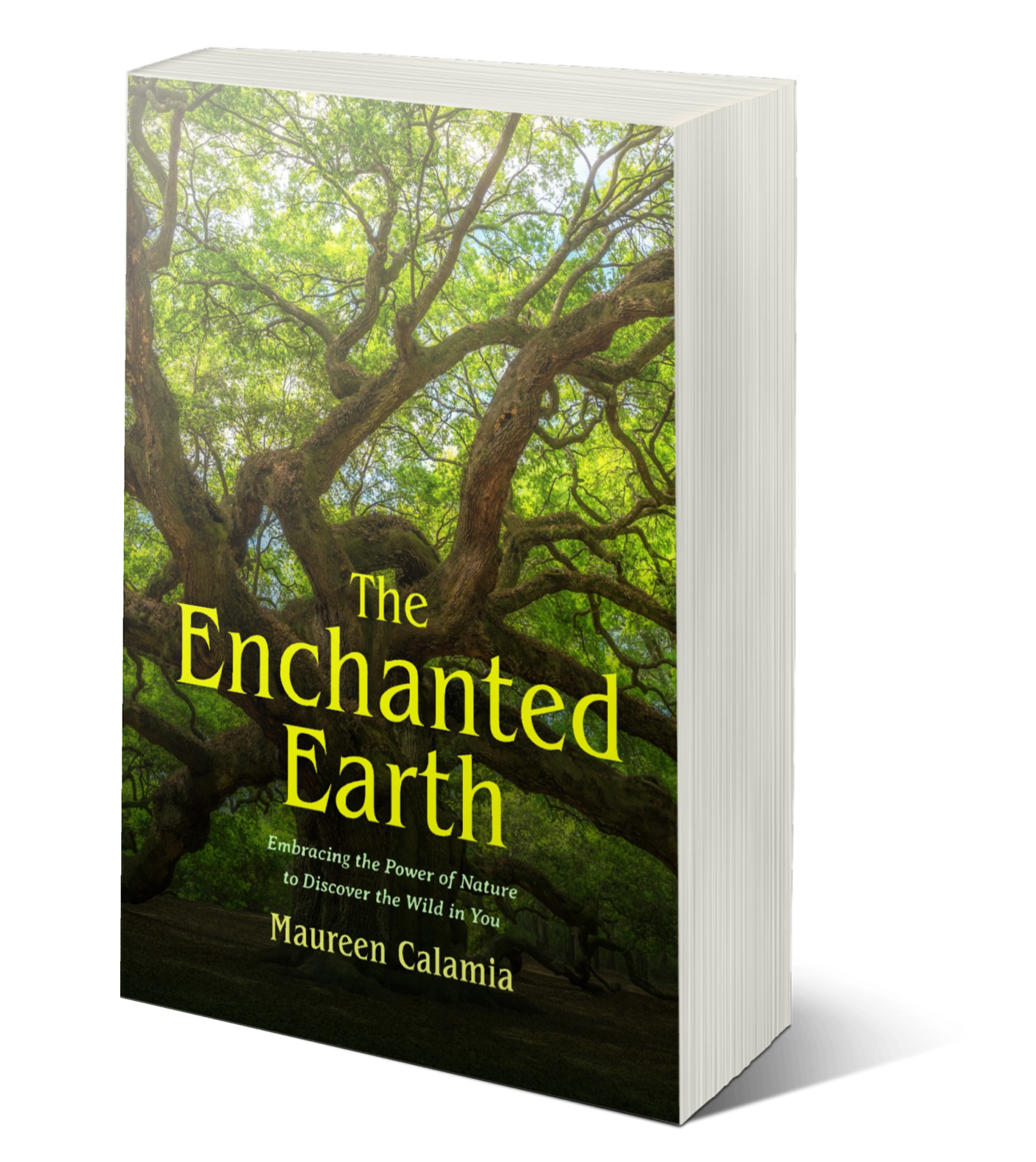 The Enchanted Earth by Maureen Calamia