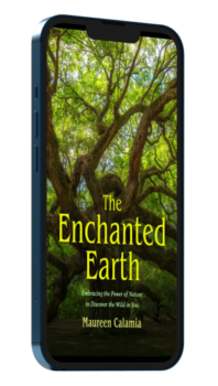 The Enchanted Earth book