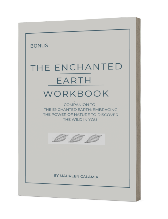 The Enchanted Earth Workbook